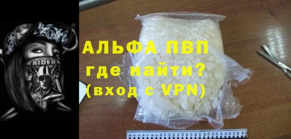 шишки Горняк