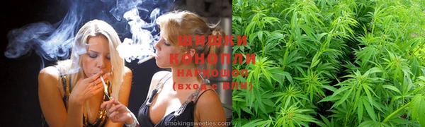 прущая мука Вяземский