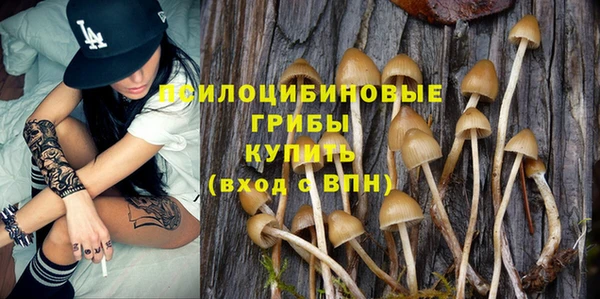 гидропоника Горнозаводск